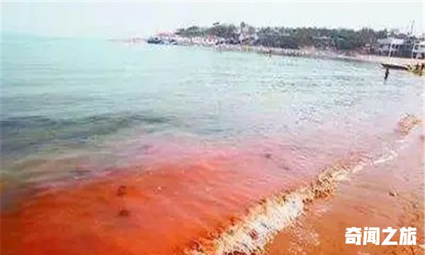 赤潮发生时海水都是红色的吗：没有固定颜色（微生物导致）(1)