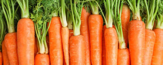 胡萝卜怎么做菜 胡萝卜做法